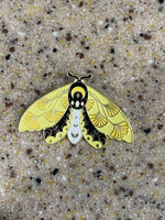 Moth Pins