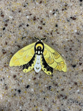Moth Pins